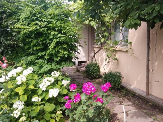 Сдаю дом-пристройку в районе 16 ст. Большого Фонтана (п.Золотой Берег) Одесса