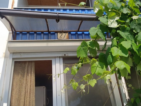 Одесса .Сдам дачу в 20 метрах от моря Одеса