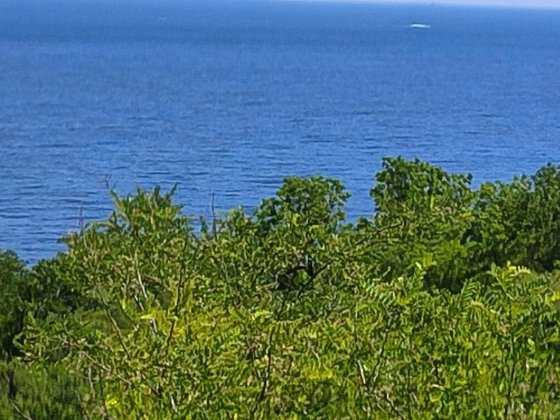 Уютный домик у моря Отрада, Французский бульвар Одесса