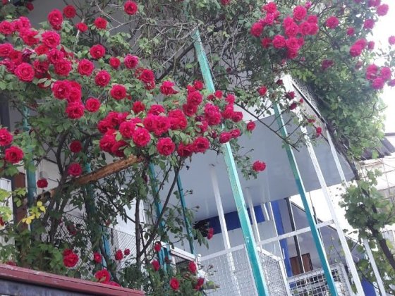 Сдам домик/ коттедж у моря на Таирова Одеса