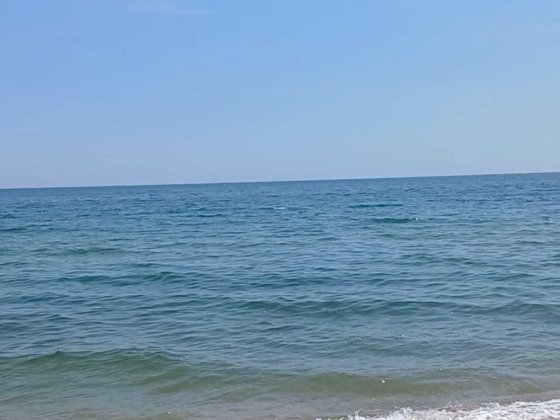 Сдам посуточно дачу на первой линии моря .Дача Ковалевского Одесса