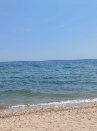 Сдам посуточно дачу на первой линии моря .Дача Ковалевского - фото 1