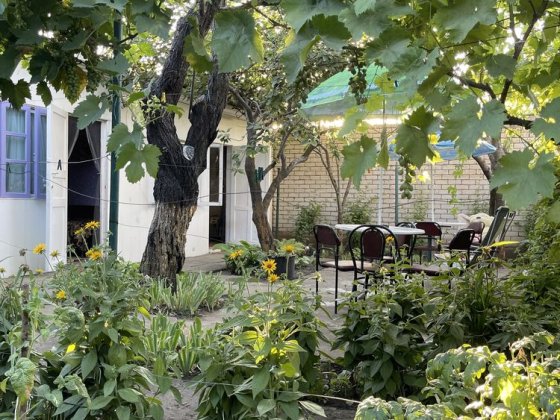 Сдам летние домики Одесса