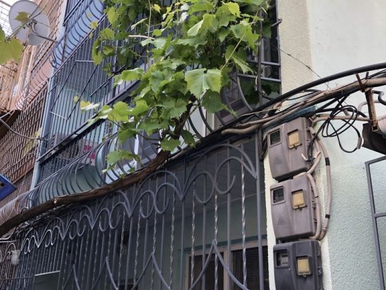 Сдам домик в Черноморске на 114 Причале Одеса