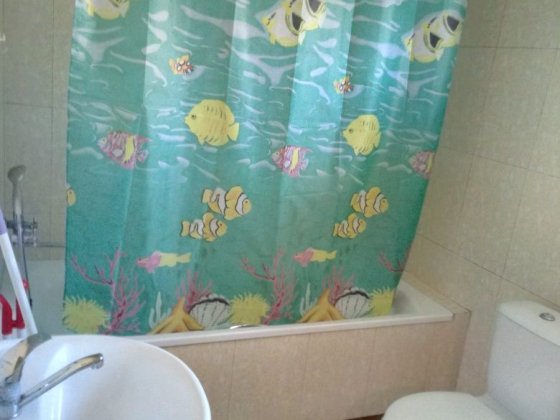 Сдам дом посуточно Одеса