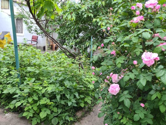 Домик, квартира у моря В Одессе (район 14 ст. Б.Ф.) Одеса