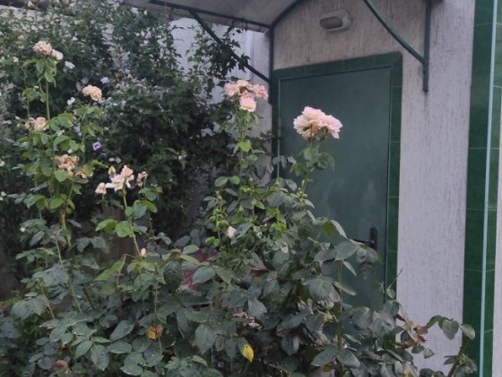 Сдам домик у моря в Одессе,район Черноморка,5 мин от моря. Одеса