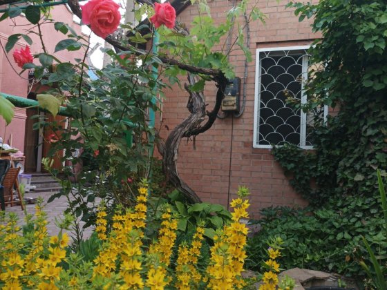 Сдам домик у моря Одеса