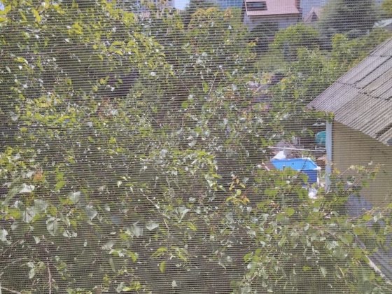 СДАМ часть дома! 2 эт.2х эт.дома. Одесса пл.Толбухина. 3км -море Гараж Одеса