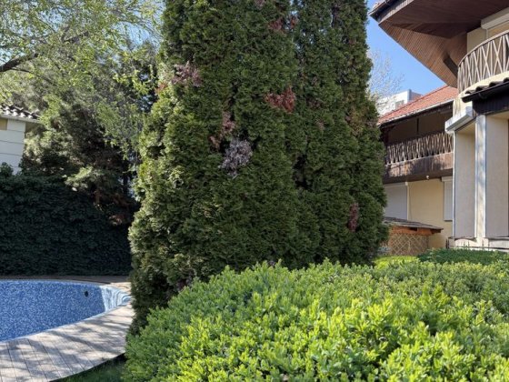 Посуточная аренда дома 11 ст Фонтана Одеса