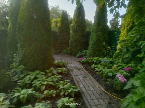 Сдам свой дом посуточно от хозяина,10минут к морю. Одеса