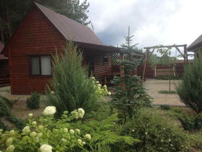 Оренда будиночка на озері, Соловичі - фото 1