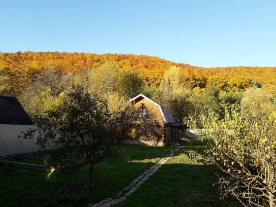 Відпочинок біля річки Чинадиево