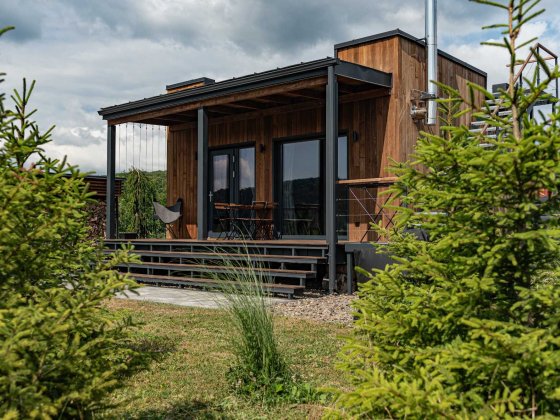 Будинок "Ліс". Місце для відпочинку "Простір" Невицкое