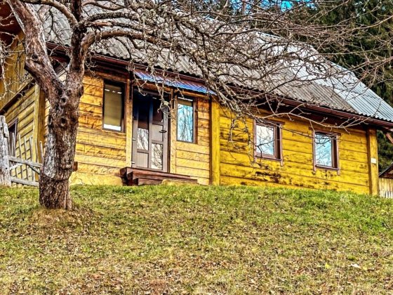 Будинок «Vipche House” Верховина