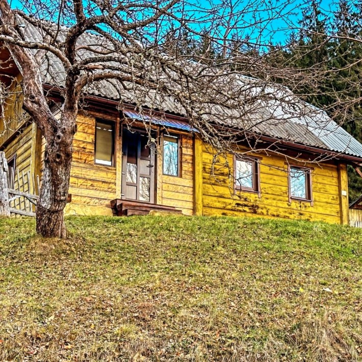 Будинок «Vipche House” - фото 1