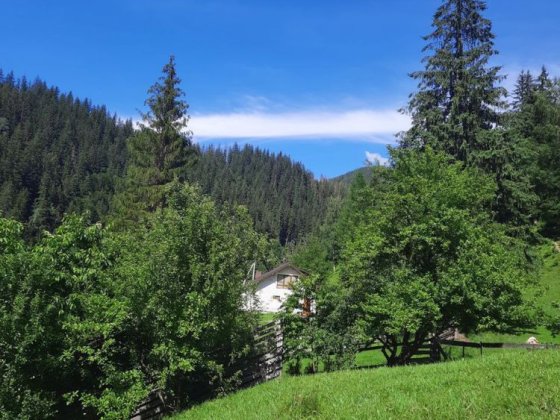 Відпочинок у Карпатах котедж садиба під лісом Оренда житла Верховина