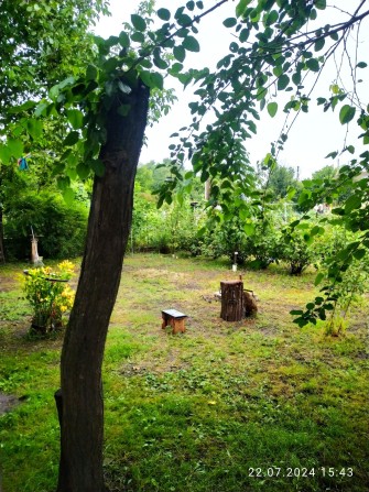 Подобова оренда будинку в селі Літки - фото 1