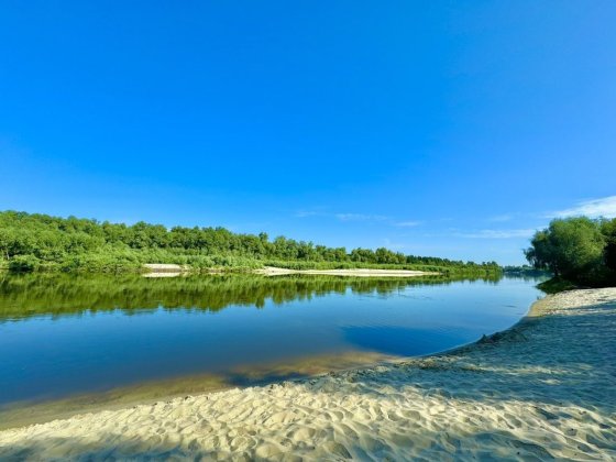 Оренда будиночка біля Десни с. Рожни! Рожны