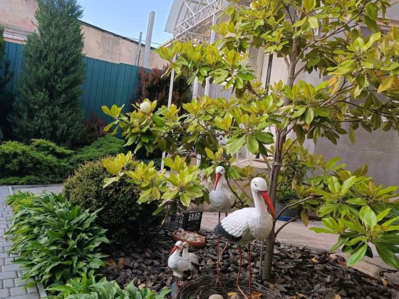 Сдам комнаты в доме у моря Крыжановка, Одесса. Крижанівка