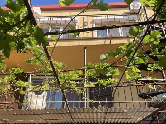 Сдам дачу у моря (3 мин) от 5 дней. Бурлача Балка