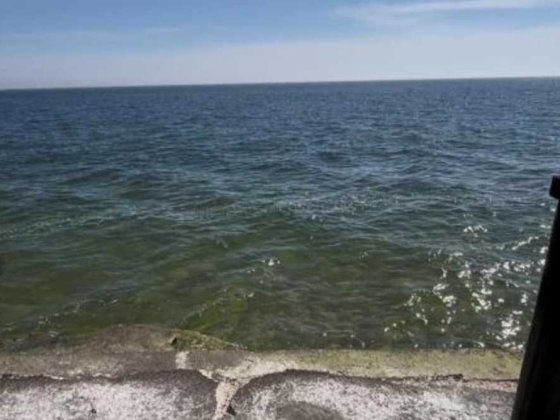 Сдам дачу у моря, первая линия, причал 121 (кооператив Румб) Бурлача Балка