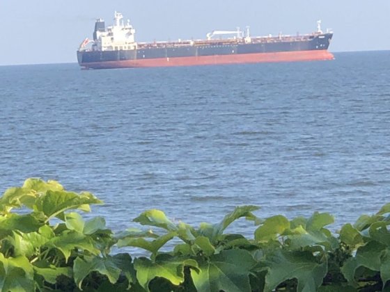 Подобово  1 лінія  пляж Аврора Сдам дом 1 линия Совиньон Бурлача Балка