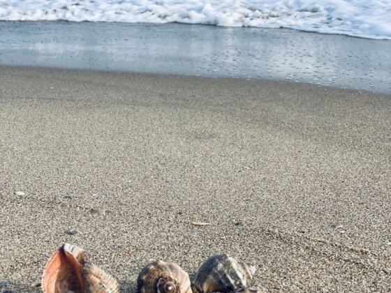 Аренда помещений.Посуточная аренда двухэтажных апартаментов на берегу Каролино-Бугаз