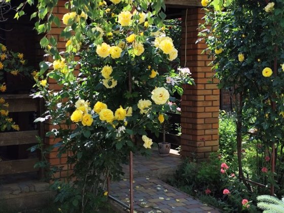 Сдам домик у моря, Санжейка. Санжейка