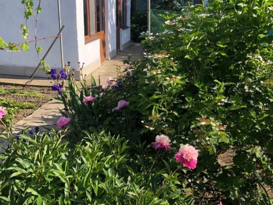 Будиночки для відпочинку с.Санжійка Санжейка