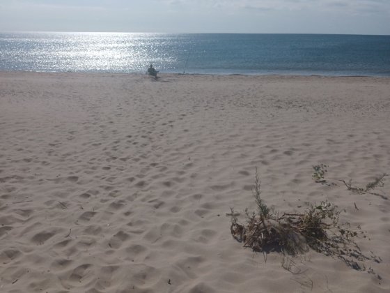 Отдых у  моря первая линия Затока