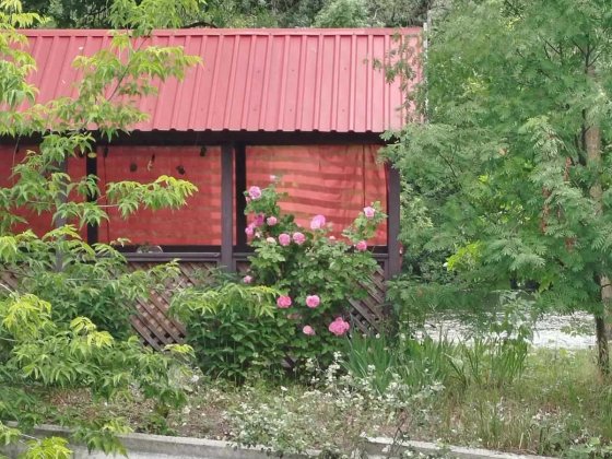 Оренда дачі на березі р. Псел Решетилівка