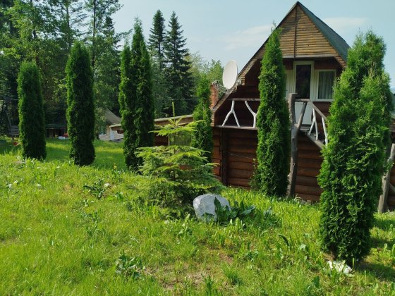 Відпочинок у Карпатах Вижница