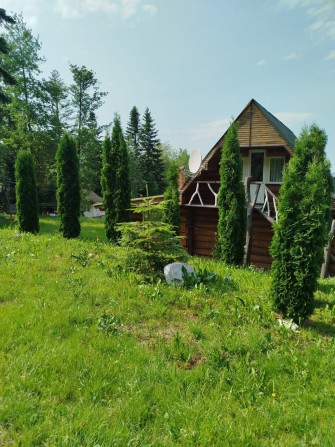 Відпочинок у Карпатах - фото 1