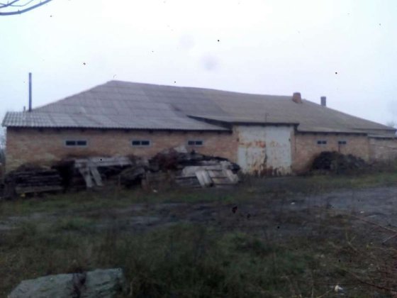 Оренда приміщення Александрия