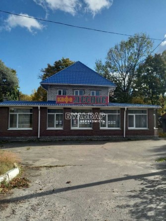 Продажа готового бизнеса Кафе Лесное поселок Высокий - фото 1