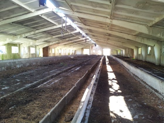 Продам Коровники, Ангары общей пл. 4185 м2 и 2Га земли в собственности Малин