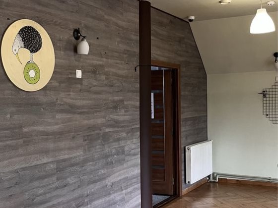 Приміщення комерційного призначення в Росвигові Мукачеве