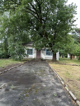 Продаж нежитлове приміщення 248,1 м2 м. Світловодськ - фото 1