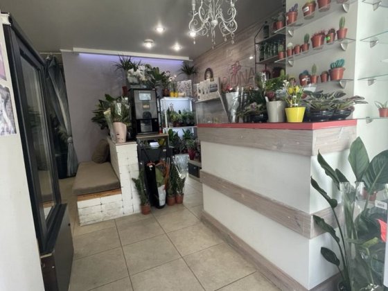 Приміщення , салон коаси, барбершоп, магазин,офіс,клініка, стоматологі Новая Украинка