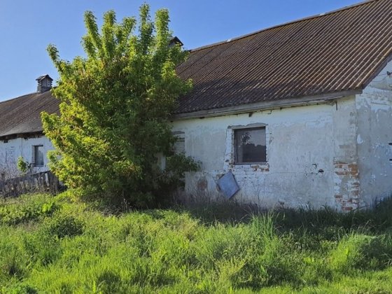 Продам свинарники Хмельницький