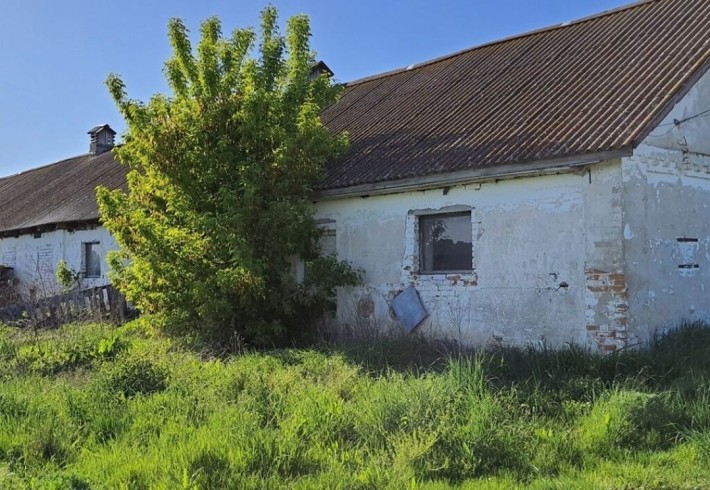 Продам свинарники - фото 1
