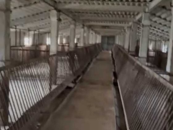 2400м2+2 га землі діючий тваринний комплекс Біла Церква