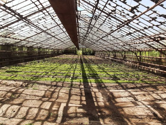 Комплекс будівель (теплиці) 2 451,5 м2, Кривий Ріг, вул. Івана Салка 8 Кривий Ріг