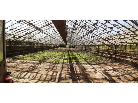 Комплекс будівель теплиць, 2435,4 кв. м, вул. Івана Салка, 8 Кривий Ріг