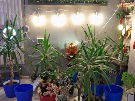 Продаж приміщення салону краси разом з меблями Ирпень