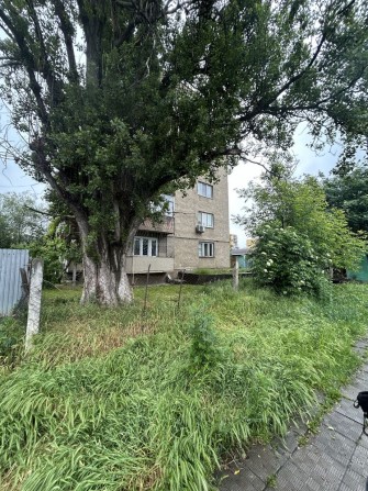 Продам 2 кімнатну квартиру для комерціі на «Пяному базарі» - фото 1