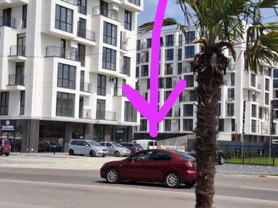 Комерція навпроти пальм В4 Ужгород