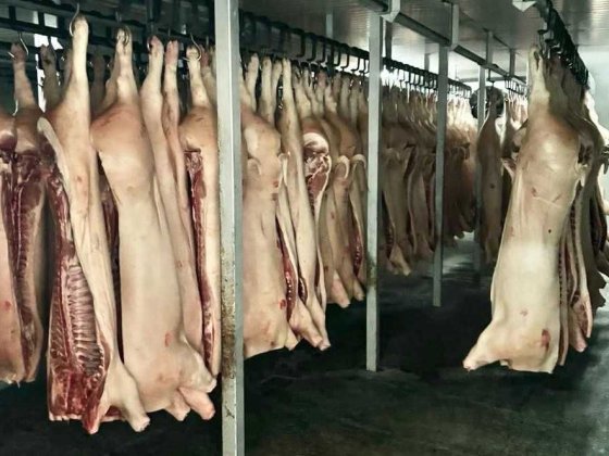 SALE-40%! Мʼясокомбінат потужністю 10 тонн/добу готовой продукції Чернівці