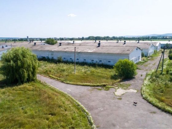Птахофабрика - комплекс з вирощування та забою курей на 350000 голів Чернівці